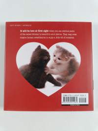 Kitty Love - How Cute Kittens Play