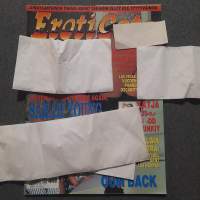 Eroticats. 1995  3     Sarah Young, Orgasmi ongelmat ja liukkaat lääkkeet, Las Vegas: Vuoden porno oscarit