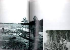 Metsäkoneiden maailmanhistoria