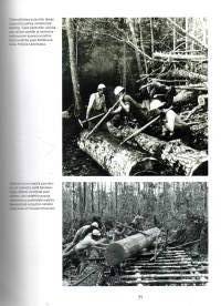 Metsäkoneiden maailmanhistoria