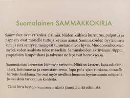 Suomalainen Sammakkokirja