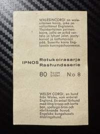Ipnos rotukoirasarja -keräilykuva nro 8, Valesincorgi