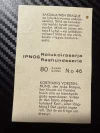 Ipnos rotukoirasarja -keräilykuva nro 46, Saksalainen braque