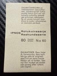 Ipnos rotukoirasarja -keräilykuva nro 60, Dalmatiankoira
