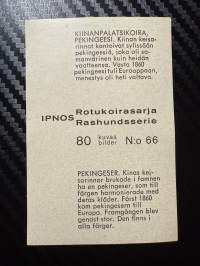 Ipnos rotukoirasarja -keräilykuva nro 66, Kiinanpalatsikoira
