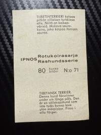 Ipnos rotukoirasarja -keräilykuva nro 71, Tiibetinterrieri