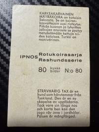 Ipnos rotukoirasarja -keräilykuva nro 80, karkeakarvainen mäyräkoira
