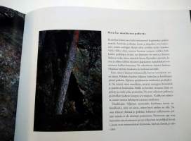 Huuhkajavuorella
