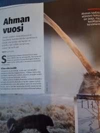 Metsästys 4 / 2025. Tietoa eläimistä mm. ahmasta neljä sivua. Opastusta pyssyn hankinnasta peltojen lähellä liikkumiseen ja retkeilyynkin