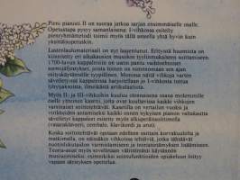 Pieni pianisti 2