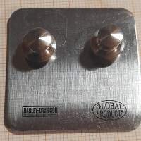 Harley-Davidson  pinssi/rintamerkki.