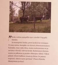 Thorsvik 1912 - 2012.  Kirjoituksia.  ( Paikallishistoria, kulttuurihistoria )