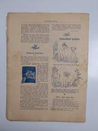Lasten joulu 1896