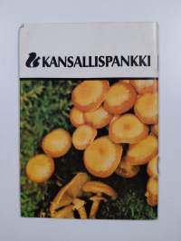 Sienestäjän aakkoset