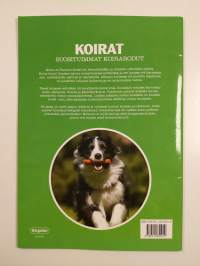 Koirat : suosituimmat koirarodut