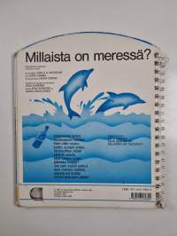 Millaista on meressä?