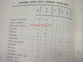 Maria Sjukhus i Helsingfors Årsberättelse för år 1899 -vuosikertomus