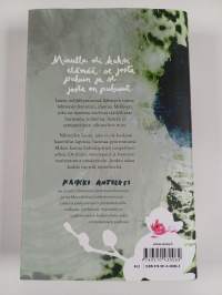 Kaikki anteeksi