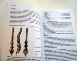 Vyöhyketerapia ja refleksologia terveyden tukena