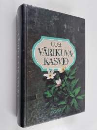 Uusi värikuvakasvio