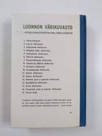 Koulun värikuvakasvio