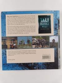 Tali-Ihantala 1944 : film och historia