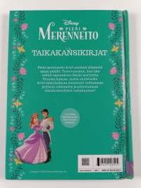 Pieni merenneito