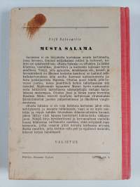Musta salama : Raisun ratsukon seikkailuja