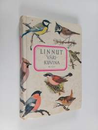Tyhjä kuva