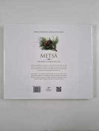 Metsä : Suomen vihreä kulta