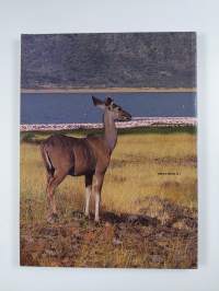 Kenya