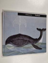 Eläinperhe : Valaat