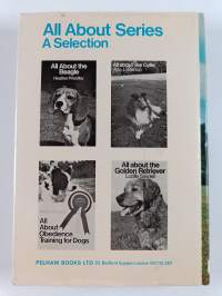All about the German Shepherd Dog