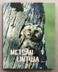 Metsän lintuja