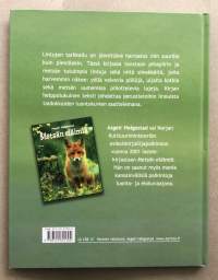Metsän lintuja