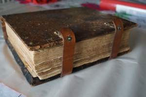 Biblia, se on koko Pyhä Raamattu 1878