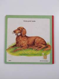 Mitä eläimet syövät?