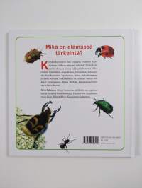 Kimalaiskuoriainen löytää vastauksen