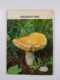 Käytännön sieniopas