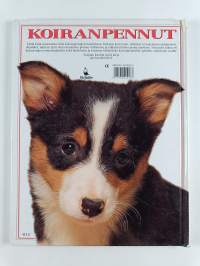 Koiranpennut