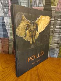 Suuri pöllö