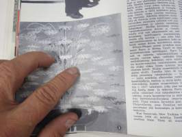 Me Naiset 1956 nr 2, Grace Kelly ja Monacon Ruhtinas, Monsier Gerard Juve Ranskan suurlähettiläs, Naiset avantouimareina, Paavo ja Helena Tynell &amp; USA -artikkeli...