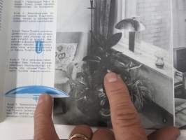 Me Naiset 1956 nr 2, Grace Kelly ja Monacon Ruhtinas, Monsier Gerard Juve Ranskan suurlähettiläs, Naiset avantouimareina, Paavo ja Helena Tynell &amp; USA -artikkeli...