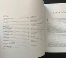 Kiehtovat linnat : Suomessa ja muualla Euroopassa