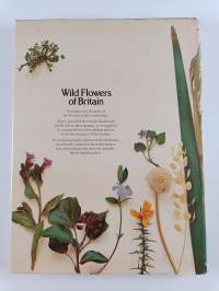 Wild flowers of Britain