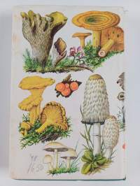 Sienet värikuvina