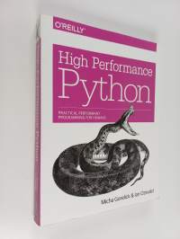 High performance Python