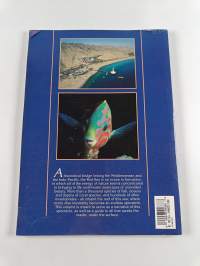 Red Sea - An Underwater Paradise