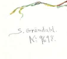 Signe Gröndahl, &quot;Punajuuri&quot;  sign 1920 akvarelli 21x29 cm