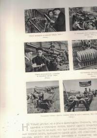 Josif Vissarianovits Stalin 1879-1949, 70v. Juhalteos
